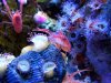 2009_122608729timelapse0019.JPG