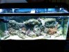 IMG00057-20091226-1150.jpg