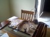 plumbing supplies and setup.jpg