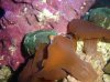 DSC02710.jpg