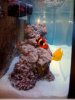 Tank shot 8.jpg