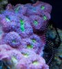 IMG_5897.jpg