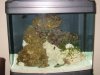 Christmas 2009 004.JPG