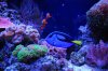 DSC_0150.jpg