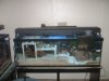 New125 005.jpg
