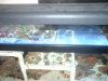 New125 006.jpg