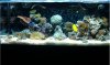 fts resize 1-3-10.JPG