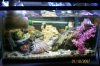 100_1516.jpg