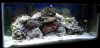 DSCN0719.jpg