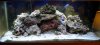 DSCN0721.jpg