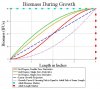 biomassduring growth.jpg
