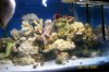 100_1594.jpg