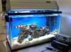 IMG00070-20100109-1500.jpg