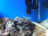 IMG00071-20100109-1500.jpg