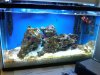 IMG00073-20100109-1501.jpg
