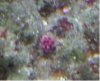 id this.JPG
