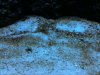 IMG_0046.jpg