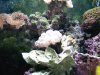 fishtank7.jpg
