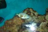 100_1706.JPG