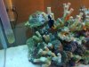 13012010256.jpg