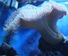 DSC03096.jpg