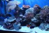 DSC03100 - Copy.jpg