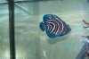 100_3992.jpg