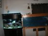 PICT0276.JPG