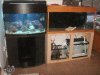 fish tank 007.jpg