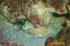 100_1757.JPG