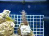 100_0572.jpg