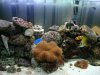 DSC05046.JPG