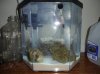 DSC02717.jpg