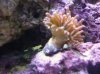 instinct pics 072.jpg