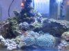 updatetank 008.jpg