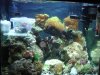 fish3.jpg
