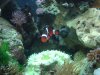 fish4.jpg