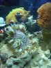 fish7.jpg
