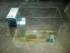 IMG00080-20100126-0950.jpg