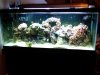 IMG00054-20091219-2239.jpg