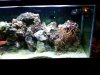 IMG00053-20091219-2237.jpg