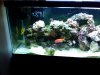 IMG00052-20091219-2237.jpg