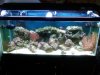 IMG00088-20100126-1046.jpg