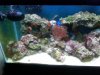 IMG00089-20100126-1047.jpg