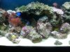 IMG00090-20100126-1047.jpg