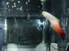 DSC02719.jpg