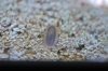 DSC_0219.jpg
