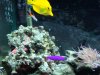 DSC03583.JPG