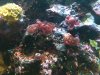 IMG_0704.jpg