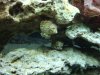DSC03587.JPG